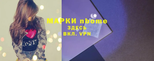 ECSTASY Инсар
