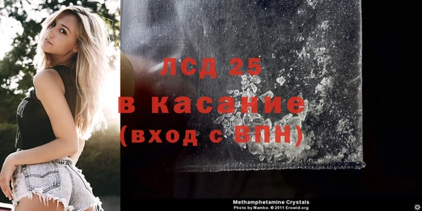 сатива Абинск
