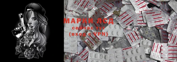 сатива Абинск