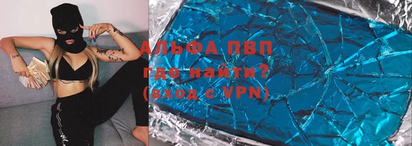 сатива Абинск