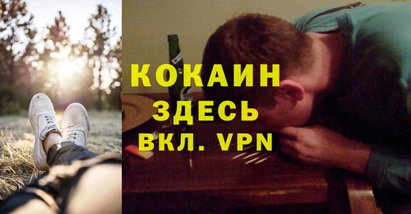 сатива Абинск